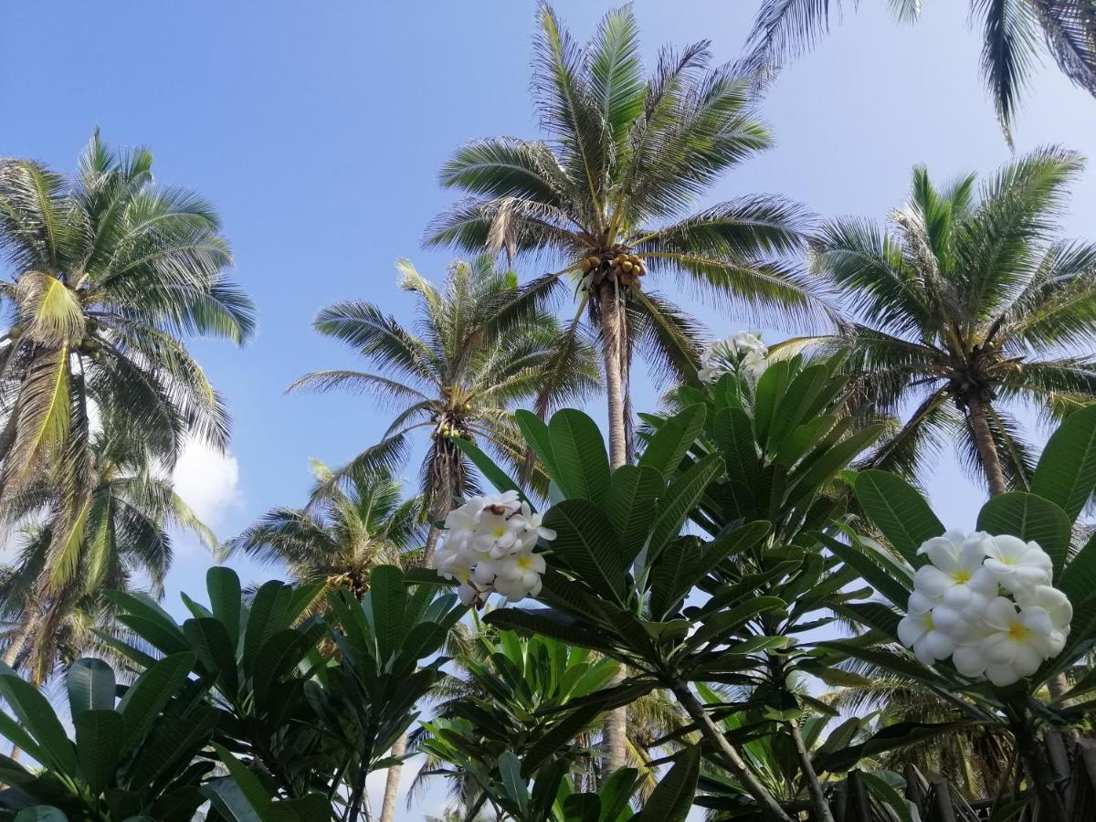 Nayan'S Paradise Kottanitivu Exterior photo
