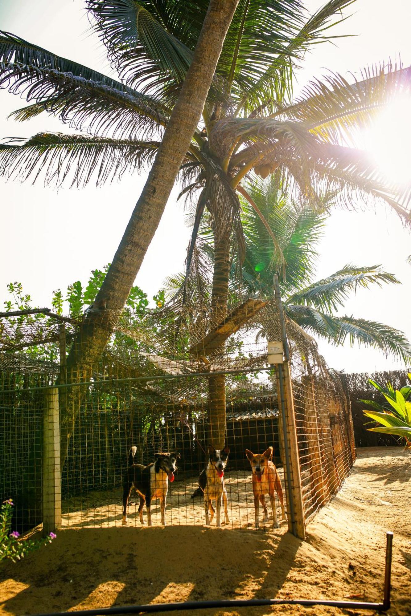 Nayan'S Paradise Kottanitivu Exterior photo
